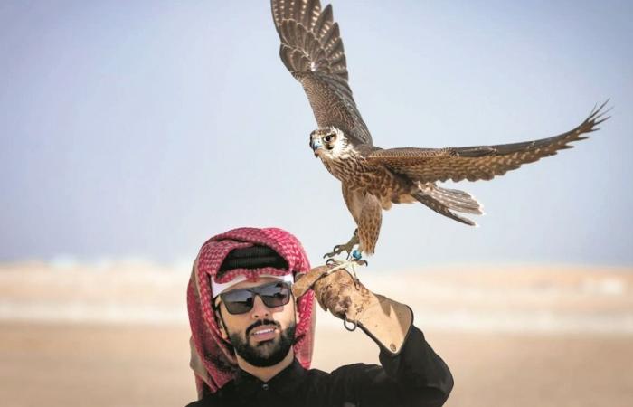 الشواهين تفرض سيطرتها في مهرجان مرمي