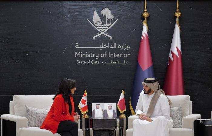 وزير الداخلية يجتمع مع وزير خارجية كندا