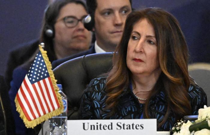 "وداعا يا أم الدنيا".. السفيرة الأمريكية بمصر تعلن انتهاء عملها ونجيب ساويرس يعلق
