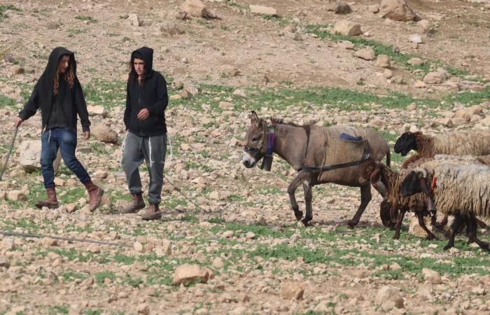عائلات
      بدوية
      تُخلي
      مساكنها
      في
      الضفة
      هرباً
      من
      عنف
      المستوطنين