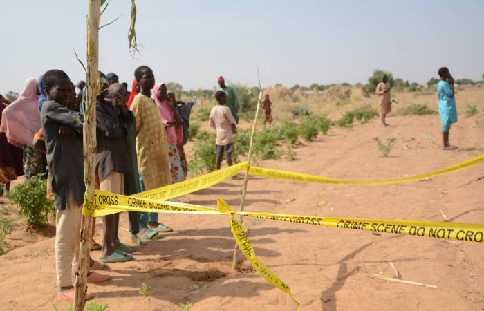 نيجيريا:
      القضاء
      على
      عشرات
      الإرهابيين
      بقصف
      جوي