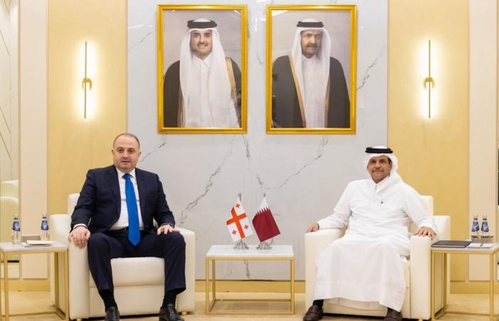 نائب رئيس مجلس الوزراء ووزير الدولة لشؤون الدفاع يعقد عددا من اللقاءات الثنائية على هامش أعمال ديمدكس 2026