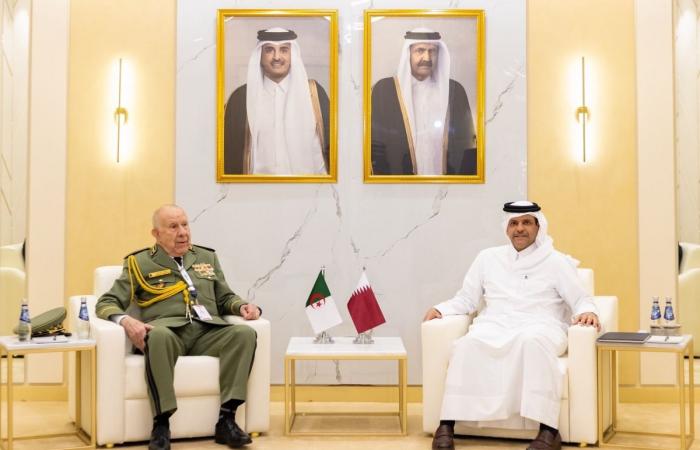 نائب رئيس مجلس الوزراء ووزير الدولة لشؤون الدفاع يعقد عددا من اللقاءات الثنائية على هامش أعمال ديمدكس 2026