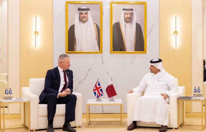 نائب رئيس مجلس الوزراء ووزير الدولة لشؤون الدفاع يعقد عددا من اللقاءات الثنائية على هامش أعمال ديمدكس 2026