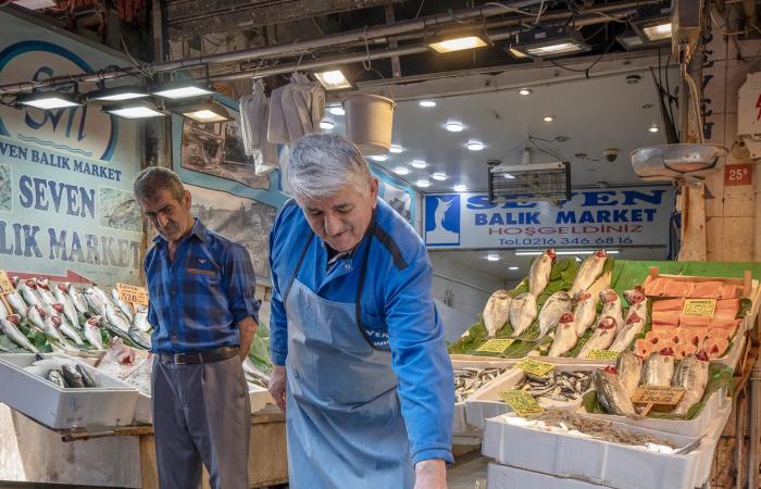 صور طريفة تُظهر "هيمنة" القطط على مدينة إسطنبول في تركيا