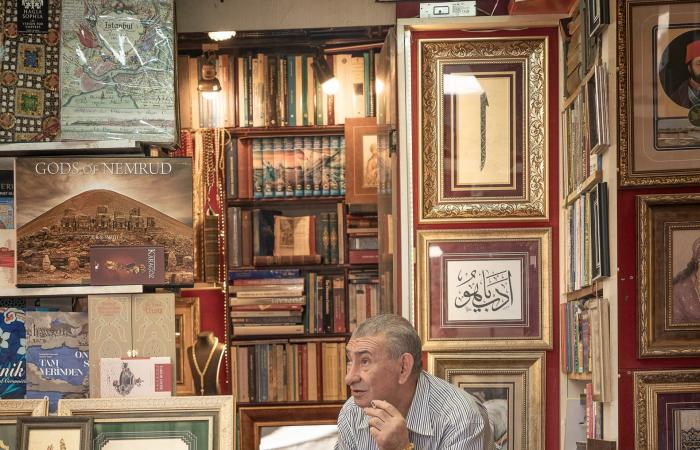 صور طريفة تُظهر "هيمنة" القطط على مدينة إسطنبول في تركيا