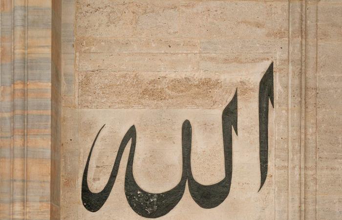 صور طريفة تُظهر "هيمنة" القطط على مدينة إسطنبول في تركيا