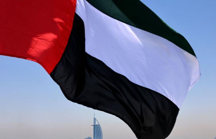 الإمارات ترد على تصريحات محافظ حضرموت عن "وجود أسلحة وسجون" في مطار الريان