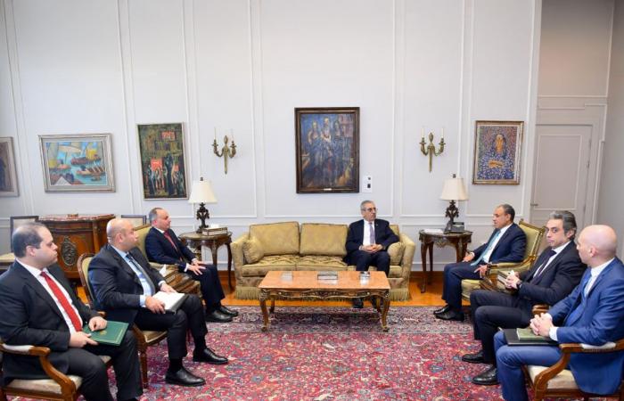 وزير الخارجية المصري يؤكد دعم بلاده للجنة الوطنية لإدارة قطاع غزة