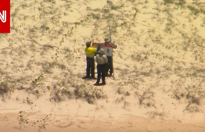 متابعة: العثور على جثة فتاة محاطة بكلاب برية على شاطىء سياحي في أستراليا