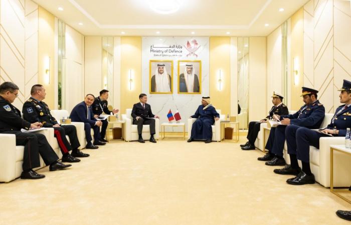 نائب رئيس الوزراء يعقد عددا من اللقاءات الثنائية على هامش ديمدكس