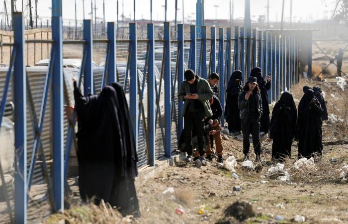 ويتكوف:
      «حماس»
      مستعدة
      لنزع
      سلاحها...
      وبوتين
      سيشارك
      في
      «مجلس
      السلام»