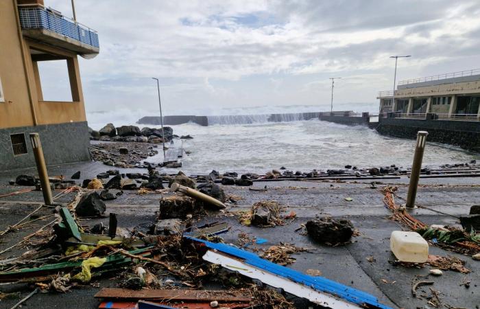 مصر
      تروج
      لشواطئ
      العلمين
      الجديدة
      في
      إسبانيا