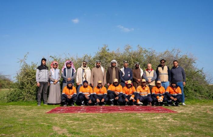 البيئة تنفذ حملة ميدانية لإزالة 500 شجرة ضارة غرب مدينة الرويس