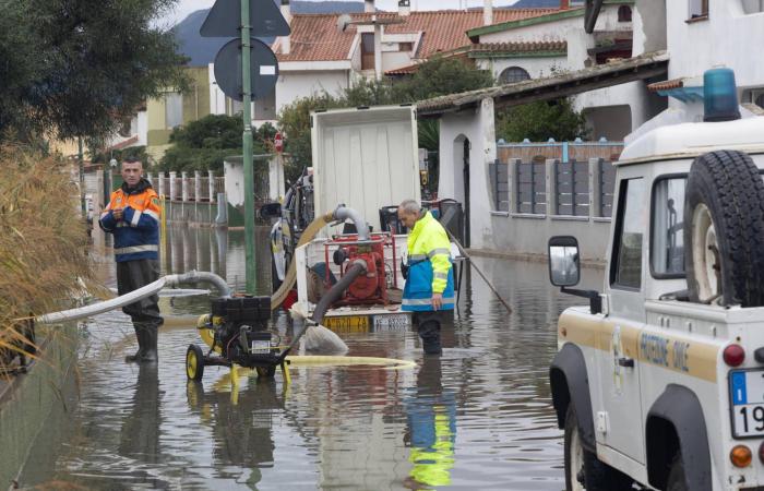 «صوت
      هند
      رجب»
      يصل
      إلى
      القائمة
      النهائية
      لـ«الأوسكار»