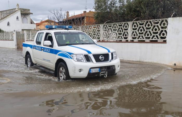 «صوت
      هند
      رجب»
      يصل
      إلى
      القائمة
      النهائية
      لـ«الأوسكار»