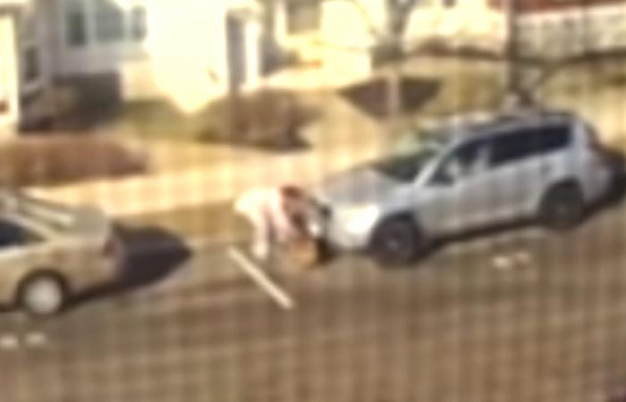 هجوم كلب شرس في دورشستر يخلّف صدمة نفسية وإصابات خطيرة