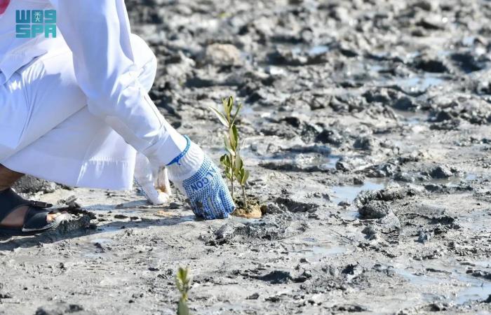 اليابان
      تُبقي
      على
      نظرتها
      الاقتصادية
      الحذرة
      رغم
      مخاوف
      التجارة