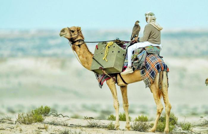 انطلاق النسخة الخامسة عشرة من بطولة القلايل للصيد التقليدي في محمية لعريق