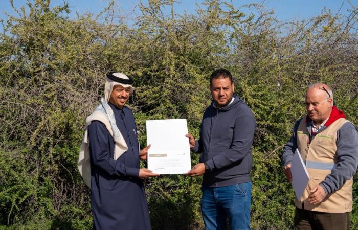 البيئة تنفذ حملة ميدانية لإزالة 500 شجرة ضارة غرب مدينة الرويس