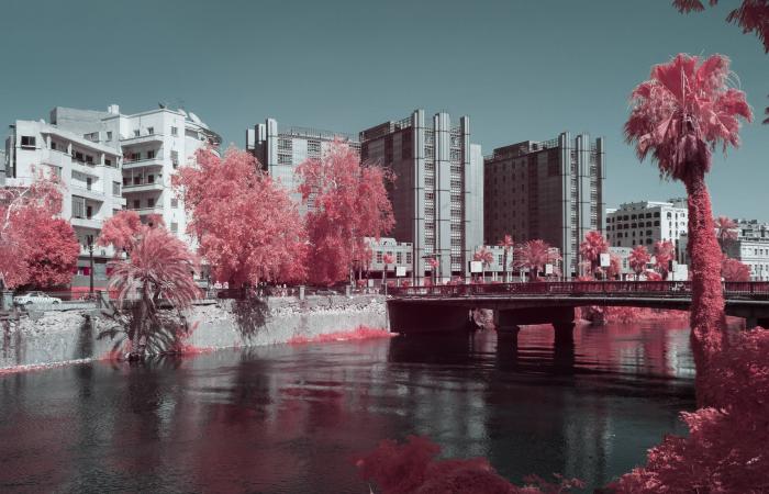 «الطيف
      المخفي»...
      مدن
      مصرية
      تُعاد
      رؤيتها
      بعدسة
      غير
      مألوفة