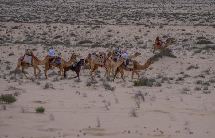 "سهيل" يحافظ على صدارة المجموعة الأولى في بطولة القلايل 2026