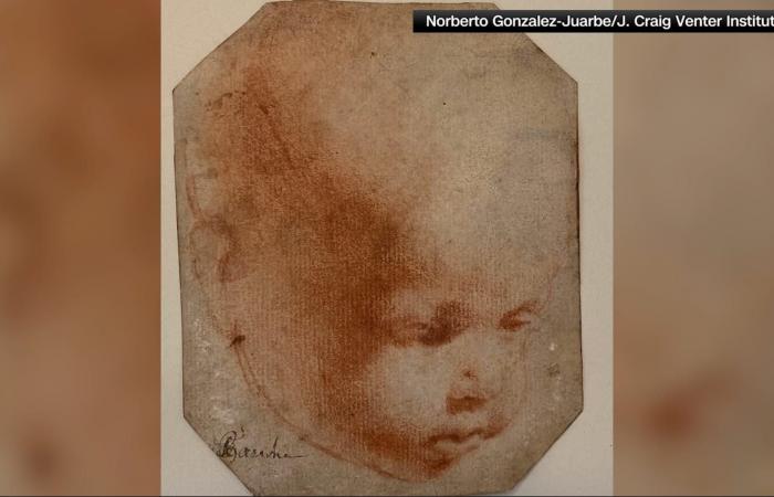 لم يُنجب أطفالًا ودُمّر قبره: هل يعثر العلماء على الحمض النووي لليوناردو دافنشي في أعماله الفنية؟