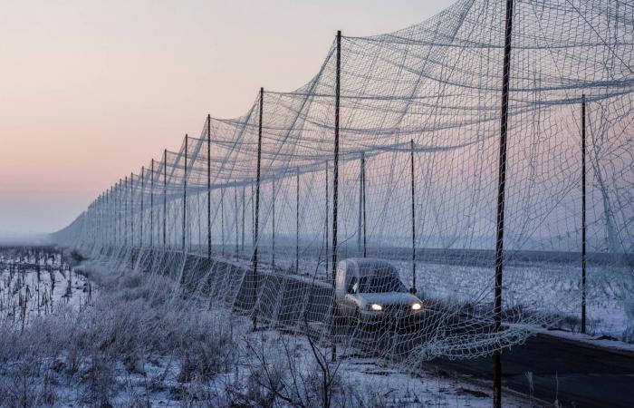 انتهاء
      مفاوضات
      أوكرانيا
      دون
      إعلان
      نتائج