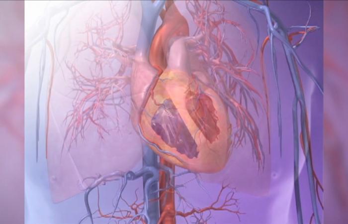 تكلفة الفقر الباهظة.. الضغوط المالية تؤثّر على صحة قلبك وشبابه