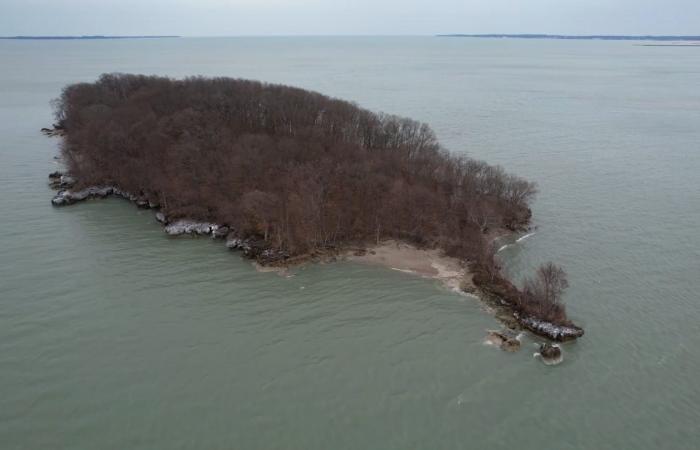 جزيرة الفأر في أوهايو شبيهة بهاواي: فرصة نادرة للشراء بـ5 ملايين دولار