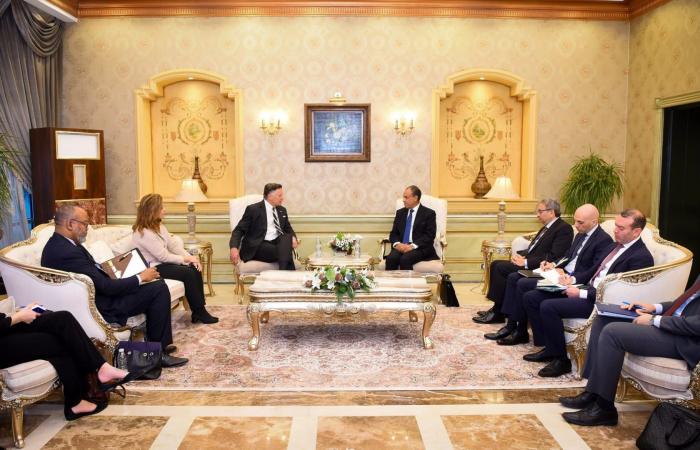 بعد رسالة ترامب للسيسي.. مسؤول أمريكي يبحث في مصر أزمة سد النهضة وتطورات القرن الإفريقي وغزة