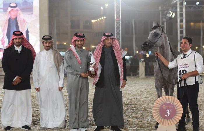 فعاليات مهرجان سوق واقف للفروسية تتواصل بنجاح كبير