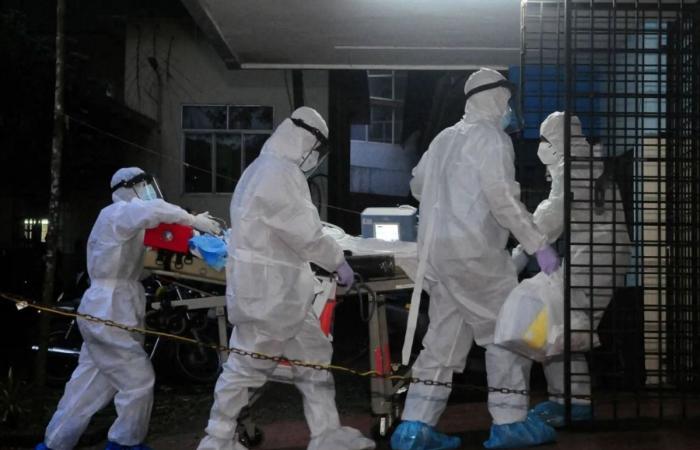 فيروس قاتل تنقله الخفافيش ولا علاج له يظهر في الهند