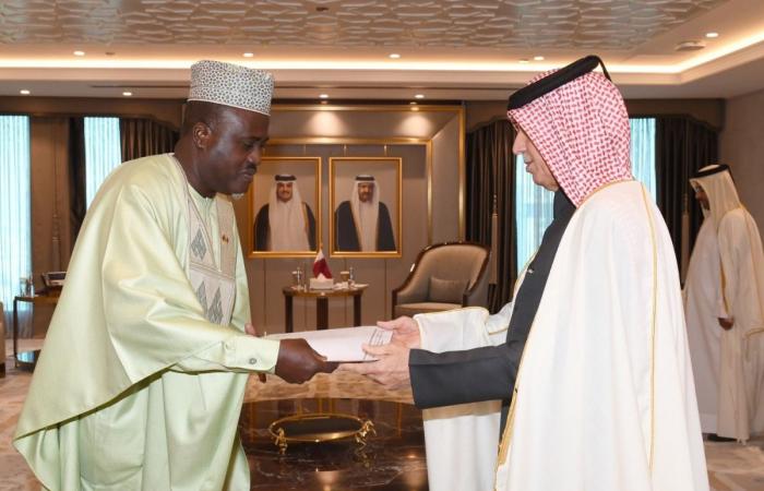 وزير الدولة للشؤون الخارجية يتسلم نسخة من أوراق اعتماد سفيري غامبيا وإندونيسيا