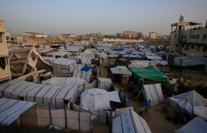 إردوغان
      يبحث
      مع
      ترمب
      الوضع
      في
      سوريا
      ومجلس
      السلام