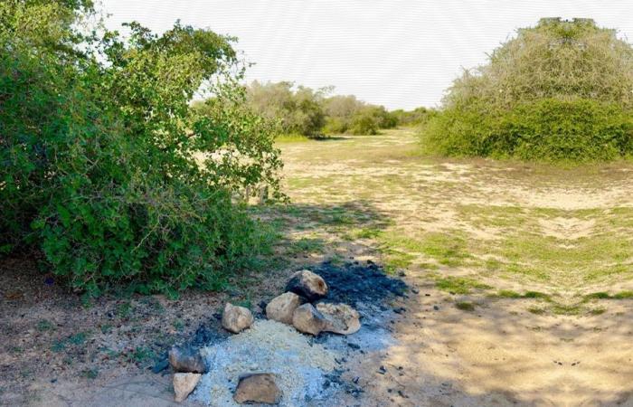 142 مخالفة إشغال النار على الأرض داخل المحميات الطبيعية خلال يناير فقط