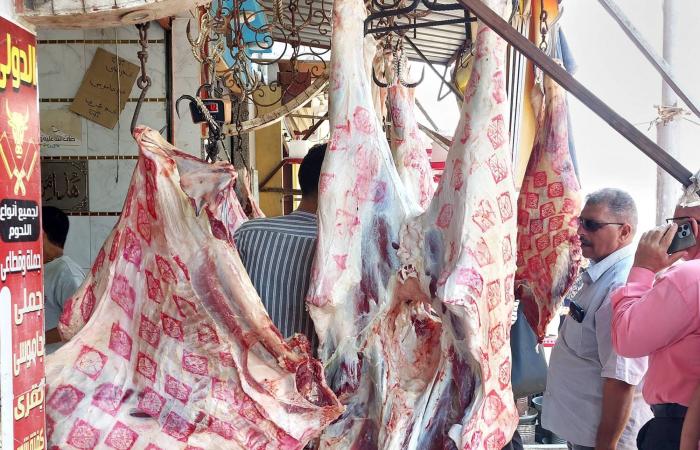 ليبيا:
      طوارئ
      لمواجهة
      تقلبات
      جوية
      حادة
      وسط
      تحذيرات
      رسمية