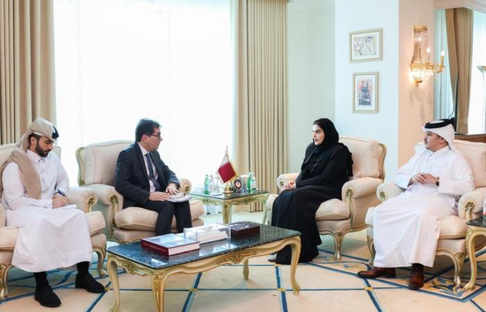 وزير الدولة للتعاون الدولي تجتمع مع السفير البرازيلي