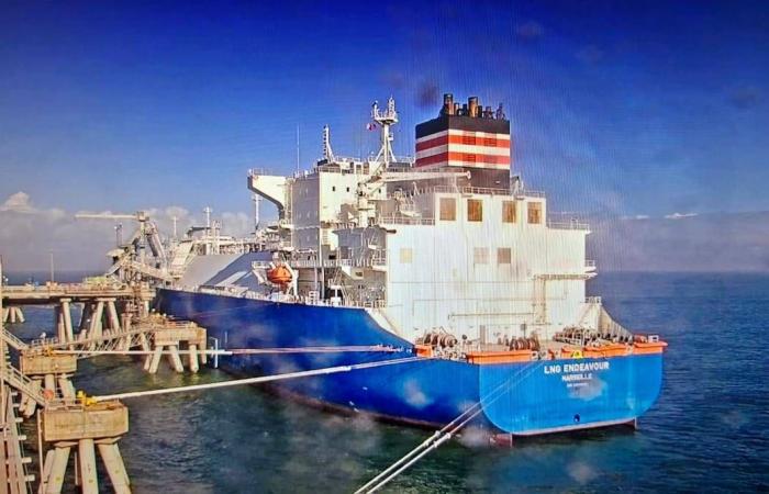 «أيس»...
      مواجهة
      مفتوحة
      بين
      «دولة
      ترمب»
      والمجتمع
      الأميركي