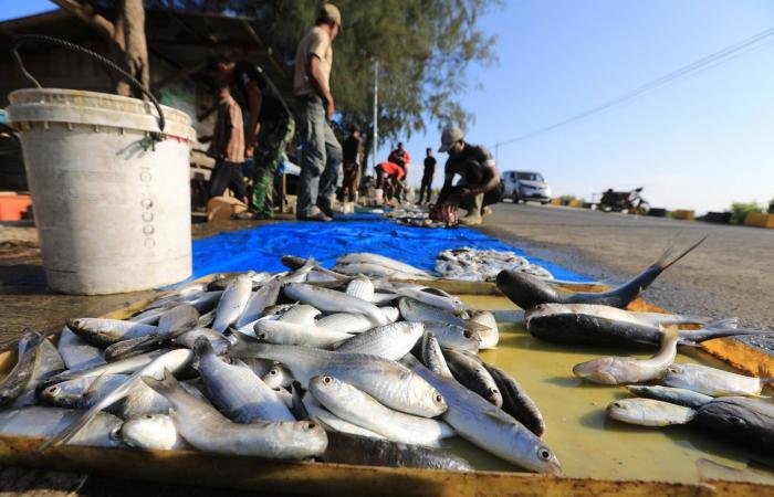 مقتل
      3
      مسلحين
      في
      اشتباكات
      ليلية
      بالعجيلات
      غرب
      ليبيا