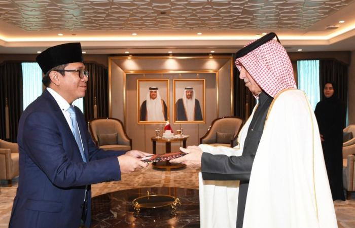 وزير الدولة للشؤون الخارجية يتسلم نسخة من أوراق اعتماد سفيري غامبيا وإندونيسيا