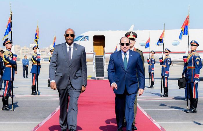 وزيران
      سابقان
      لـ«الشرق
      الأوسط»:
      البرهان
      يسعى
      لتشكيل
      تحالف
      إقليمي
      داعم