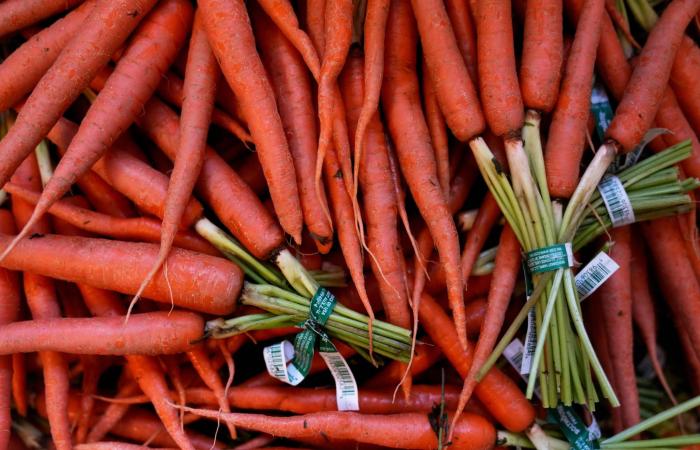 نظام
      غذائي
      مدته
      يومان
      يخفض
      الكوليسترول
      لأسابيع