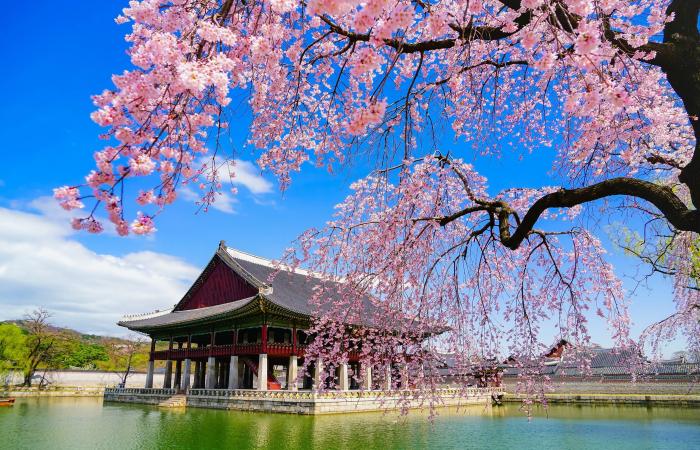 جيل
      زد
      يغيّر
      خريطة
      السفر:
      لماذا
      يفضّل
      Airbnb
      على
      الفنادق؟