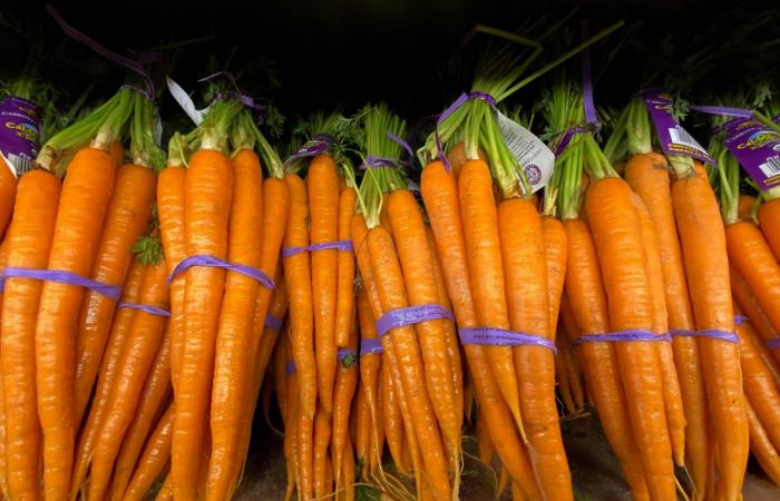 تعرَّف
      على
      الفوائد
      الصحية
      للجزر