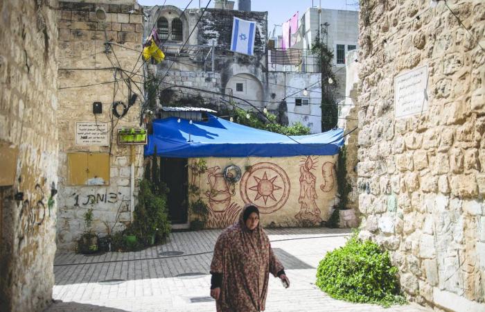 الأمم
      المتحدة:
      عنف
      المستوطنين
      الإسرائيليين
      يتسبب
      في
      تهجير
      قسري
      بالضفة
      الغربية