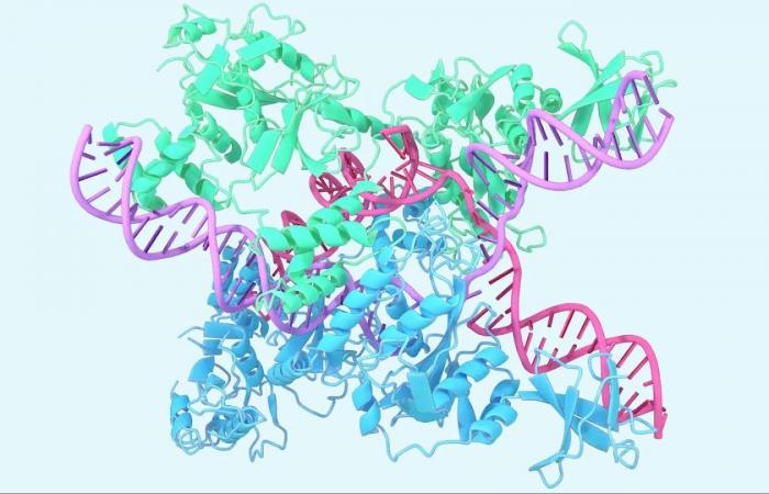 الذكاء
      الاصطناعي
      يفكّ
      شفرة
      الجينوم
      البشري