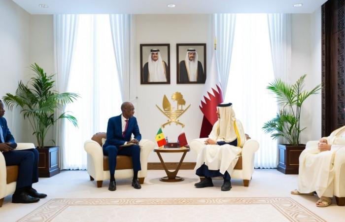 رئيس مجلس الوزراء وزير الخارجية يستقبل وزير التكامل الإفريقي والشؤون الخارجية السنغالي