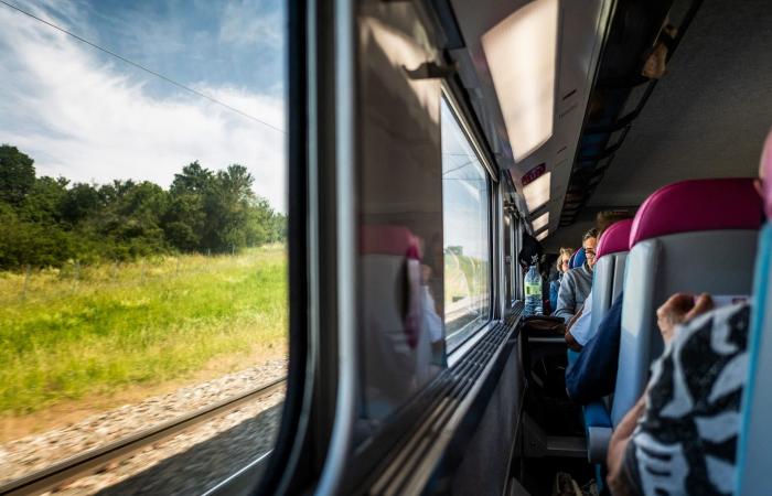 نظرة داخل عالم سائقي القطارات فائقة السرعة