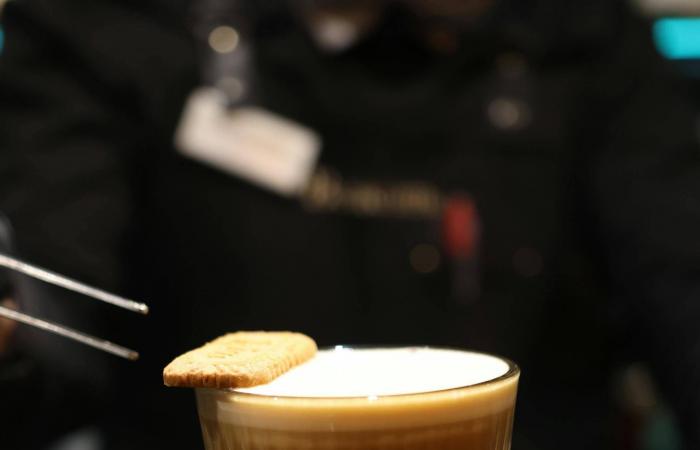 «فيفا
      لافيدا»...
      المطبخ
      اللاتيني
      في
      قلب
      القاهرة